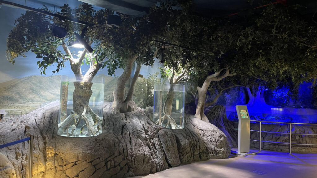 Sharjah Aquarium - Sharjah Aquarium